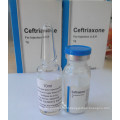 Best and Low Price Ceftriaxone Sodium Injection Ceftriaxone